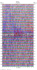 seismogram thumbnail