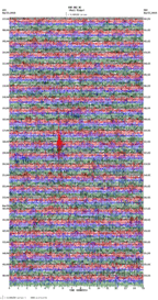 seismogram thumbnail