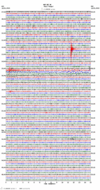 seismogram thumbnail