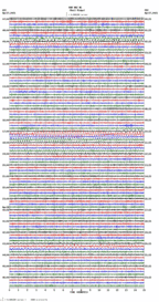 seismogram thumbnail