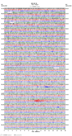 seismogram thumbnail