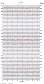 seismogram thumbnail