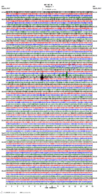 seismogram thumbnail