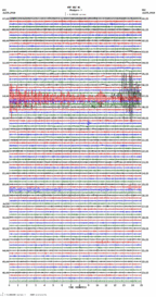 seismogram thumbnail