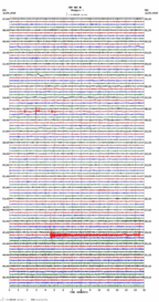 seismogram thumbnail