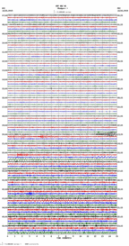 seismogram thumbnail