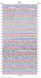 seismogram thumbnail