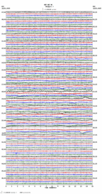 seismogram thumbnail