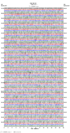 seismogram thumbnail