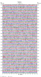 seismogram thumbnail