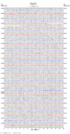 seismogram thumbnail