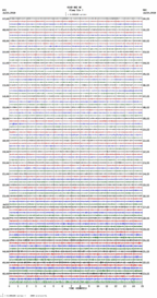 seismogram thumbnail