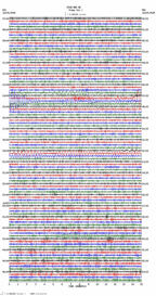 seismogram thumbnail