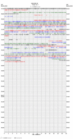 seismogram thumbnail