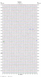 seismogram thumbnail