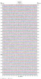 seismogram thumbnail