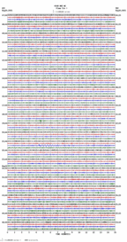 seismogram thumbnail