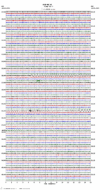 seismogram thumbnail