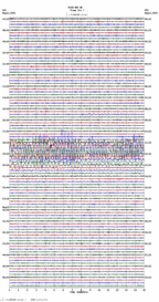 seismogram thumbnail