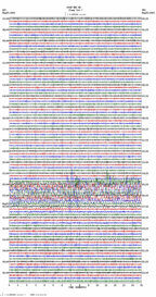 seismogram thumbnail