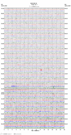 seismogram thumbnail