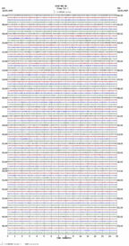 seismogram thumbnail