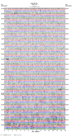 seismogram thumbnail