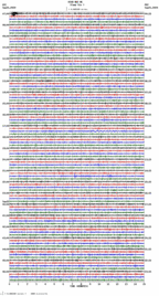 seismogram thumbnail