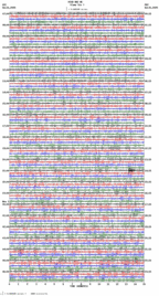seismogram thumbnail