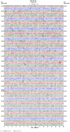seismogram thumbnail