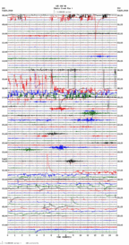 seismogram thumbnail