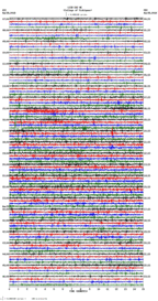 seismogram thumbnail