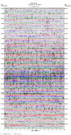 seismogram thumbnail