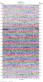 seismogram thumbnail