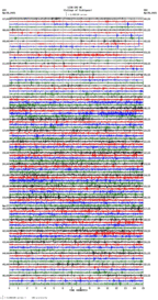 seismogram thumbnail