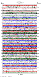 seismogram thumbnail