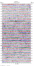 seismogram thumbnail