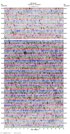 seismogram thumbnail