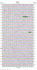 seismogram thumbnail