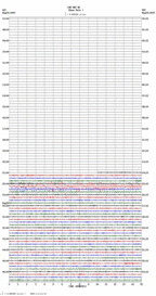 seismogram thumbnail