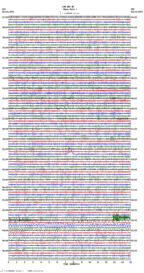 seismogram thumbnail