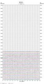 seismogram thumbnail