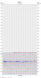 seismogram thumbnail