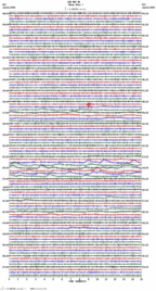 seismogram thumbnail