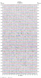 seismogram thumbnail