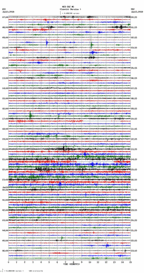 seismogram thumbnail