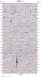 seismogram thumbnail