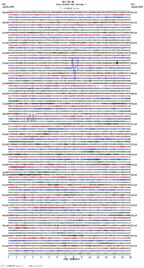 seismogram thumbnail