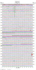 seismogram thumbnail