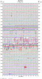 seismogram thumbnail